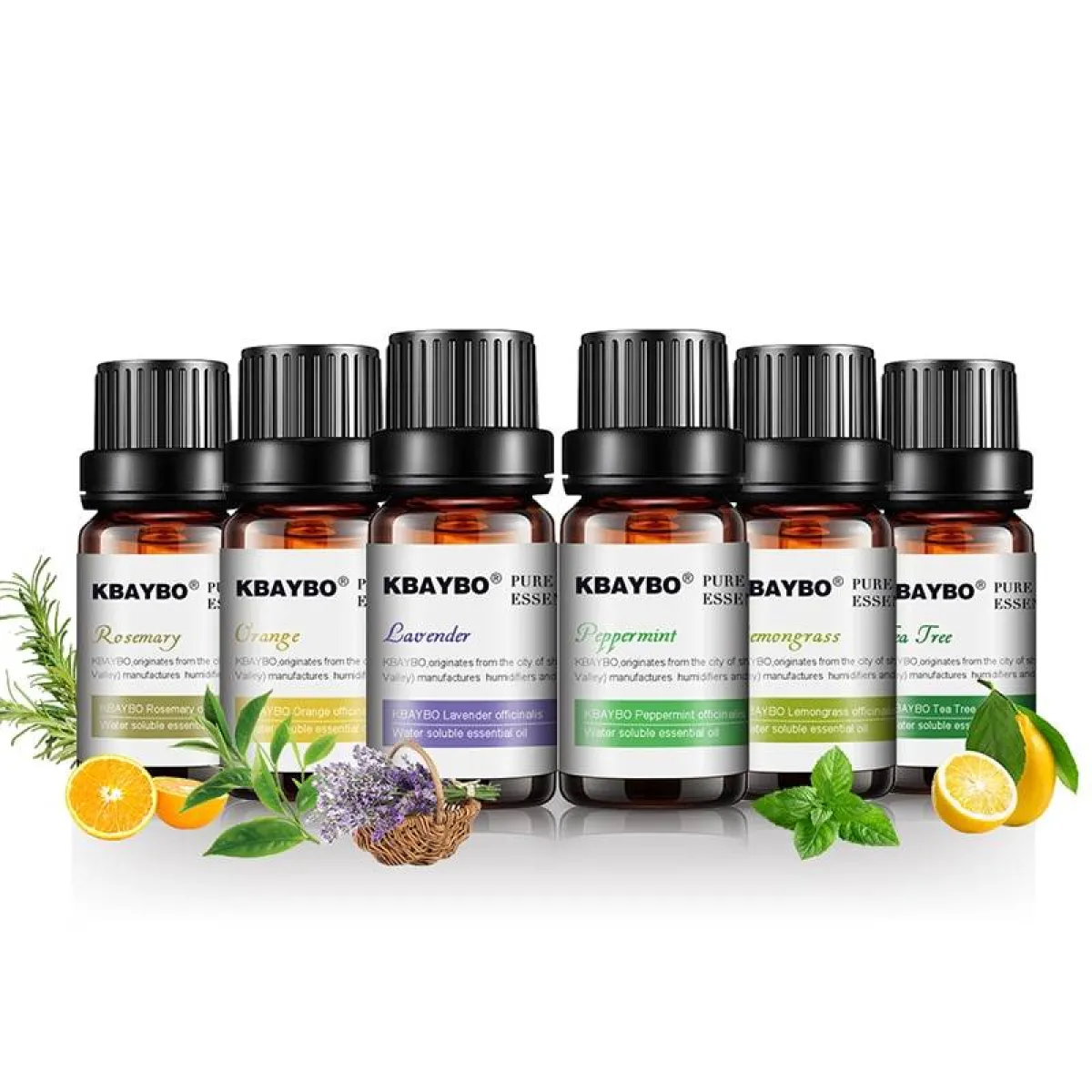 Essential Oils 6 Pcs Set - Image 4
