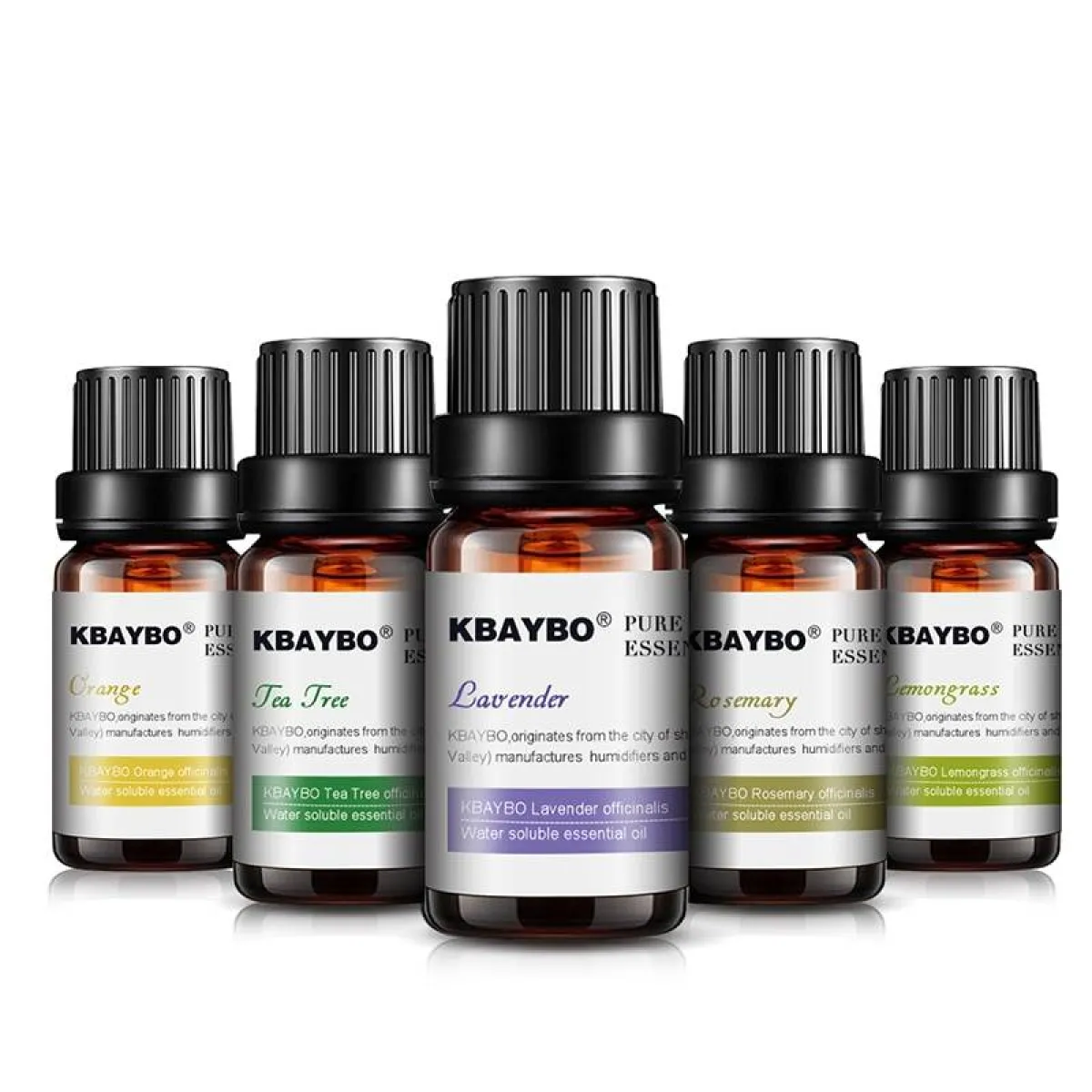 Essential Oils 6 Pcs Set - Image 6